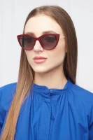 Sunčane naočale Dolce & Gabbana bordo