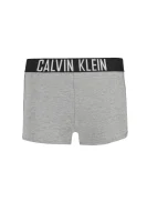 Kratke hlače | Regular Fit Calvin Klein Swimwear siva