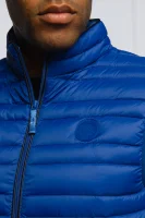 Termo jakna bez rukava | Regular Fit Armani Exchange ultramarin plava