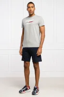 T-shirt | Regular Fit Tommy Sport boja pepela