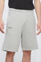 Kratke hlače | Regular Fit Replay siva