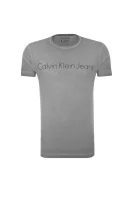 Raven T-shirt CALVIN KLEIN JEANS siva