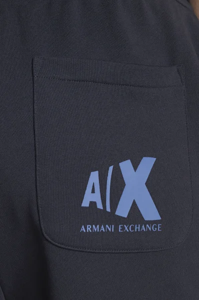 Donji dio trenirke | Regular Fit Armani Exchange modra